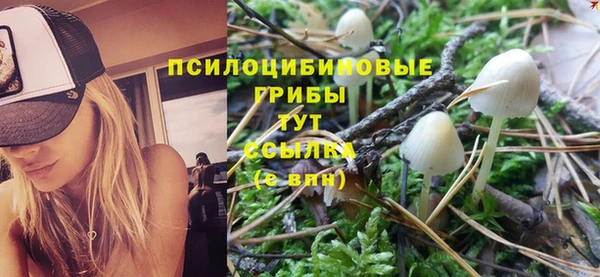 молекула духа Алексин